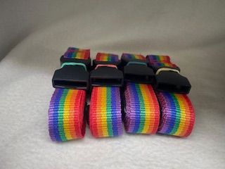Rainbow Luggage Strap