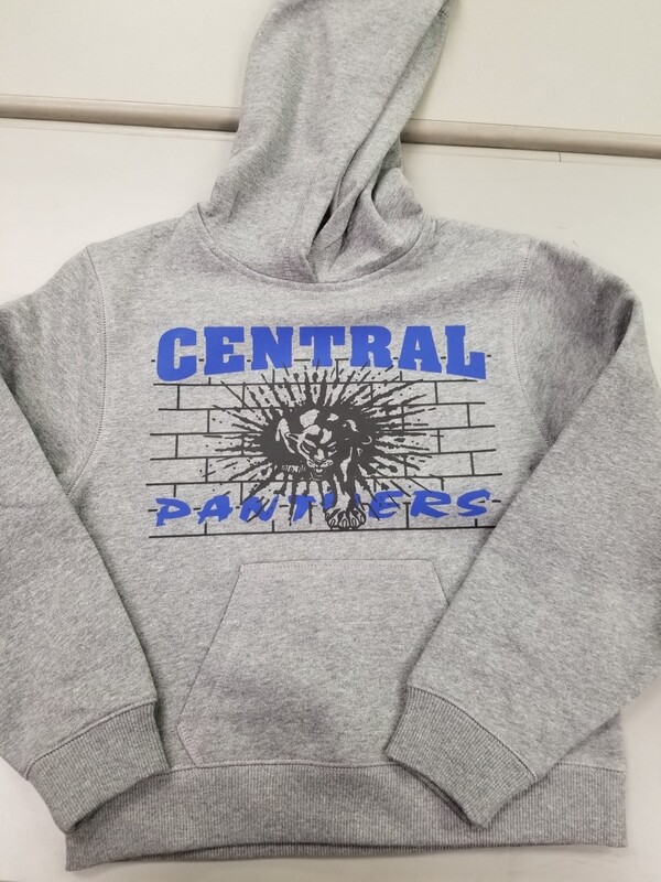 Youth Grey Hoodie