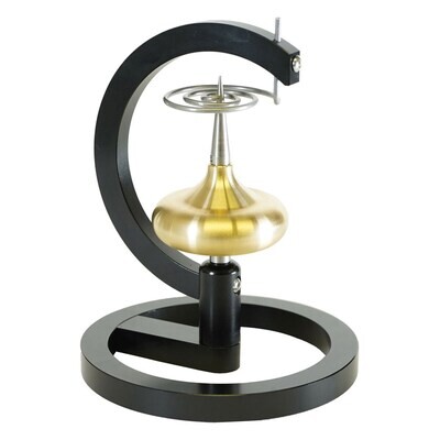 Maxwell's Spinning Top