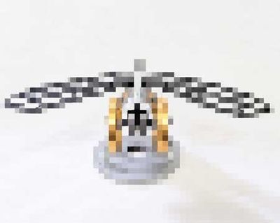 Flame Fly