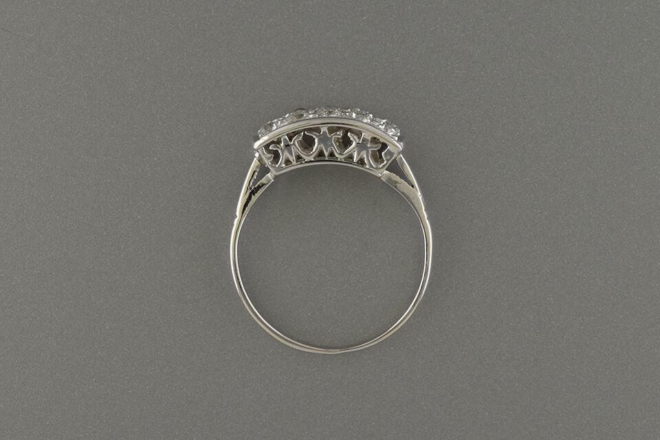 Platinum and Diamond Double Row Ring