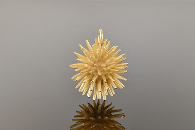 Sea Urchin Charm