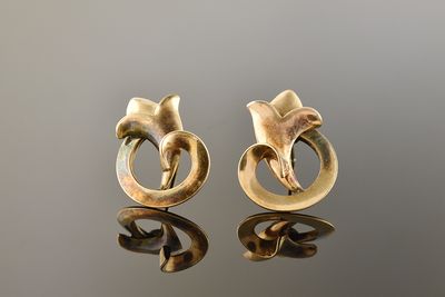 Curly Earrings