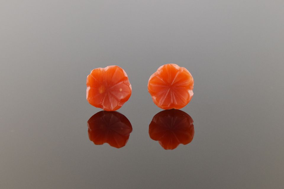 Floral Coral Earrings