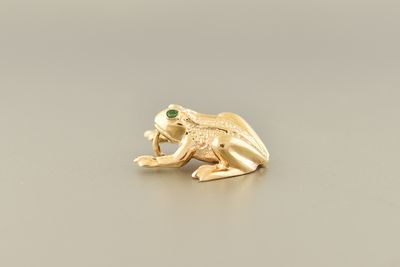 Realistic Frog Charm
