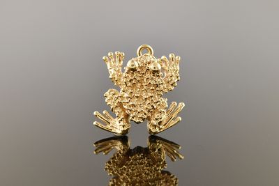 Golden Toad Charm