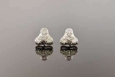 Fancy Diamond Earrings