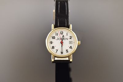 The Joden Watch