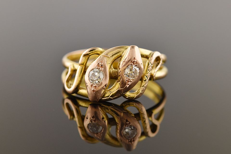 Double Snake Ring