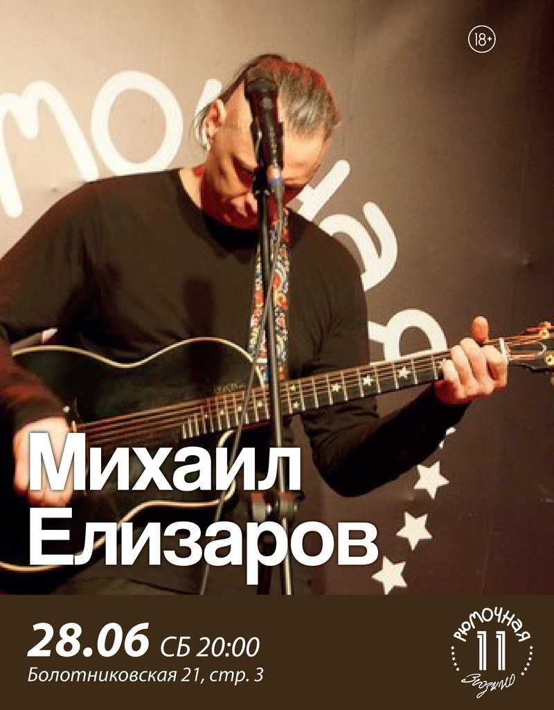 Михаил Елизаров (вход)
