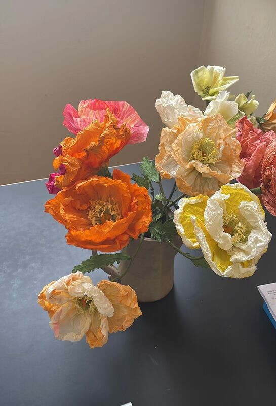 PAPAVER POPPY MIXED