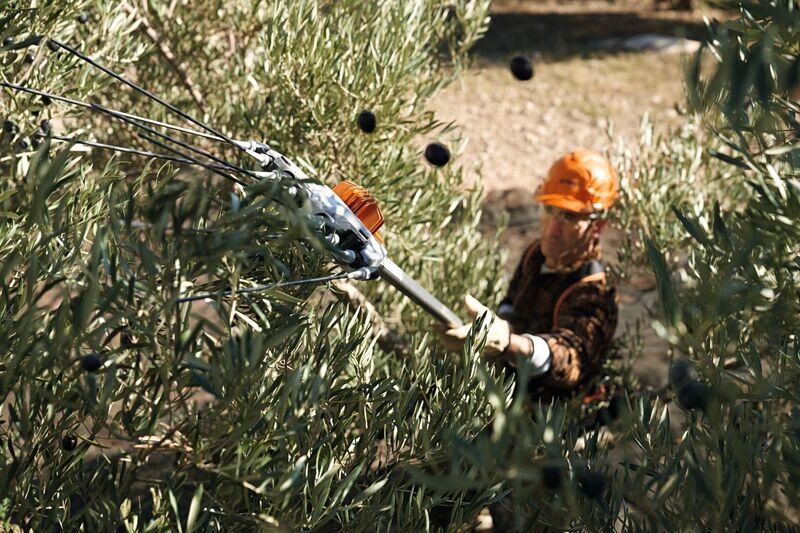 Abbacchiatori e scuotitori