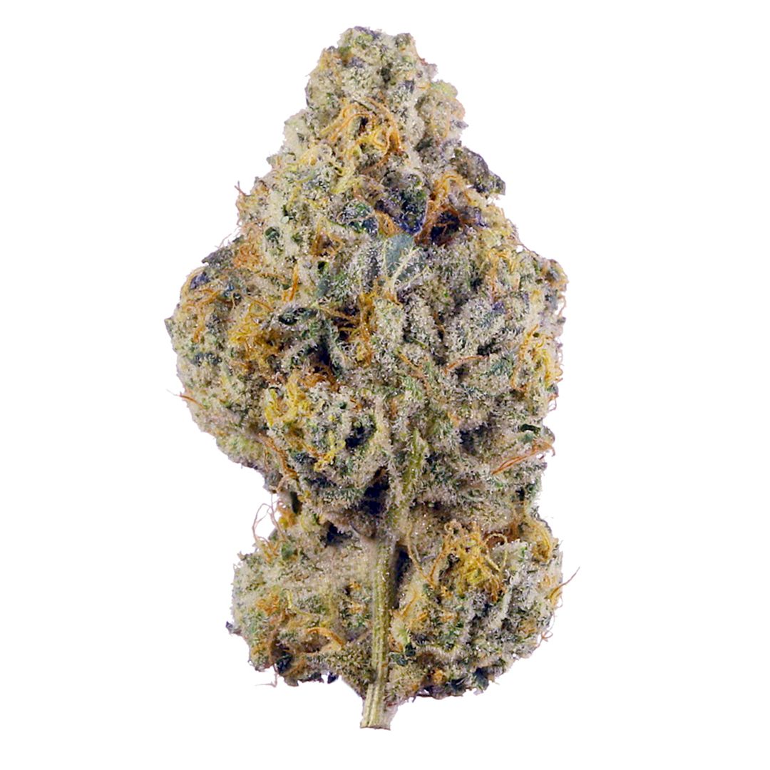 Gas Packs Exotic Hemp Flower | Banana Cookies 3.5g