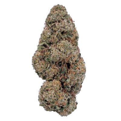 Gas Packs Exotic Hemp Flower | Girl Scout Cookies 3.5g