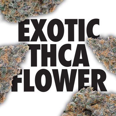 Exotic Flower