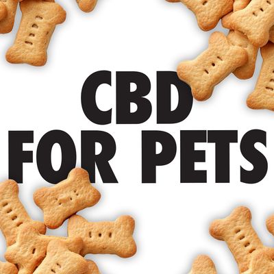 Pet CBD