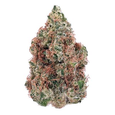 Gas Packs Exotic Hemp Flower | Bankroll 3.5g