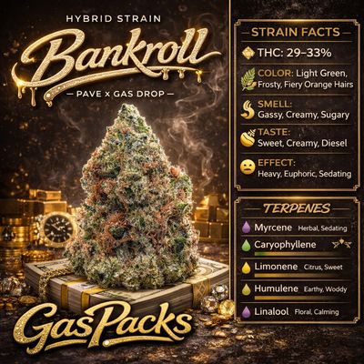 Gas Packs Exotic Hemp Flower | Bankroll 3.5g