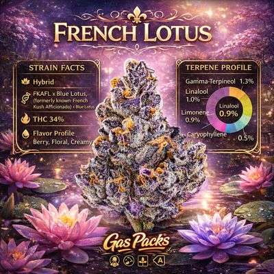 Gas Packs Exotic Hemp Flower | French Lotus 3.5g