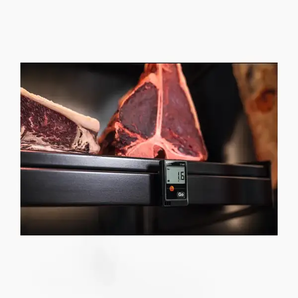 testo 174 H Temperature and humidity mini data logger
