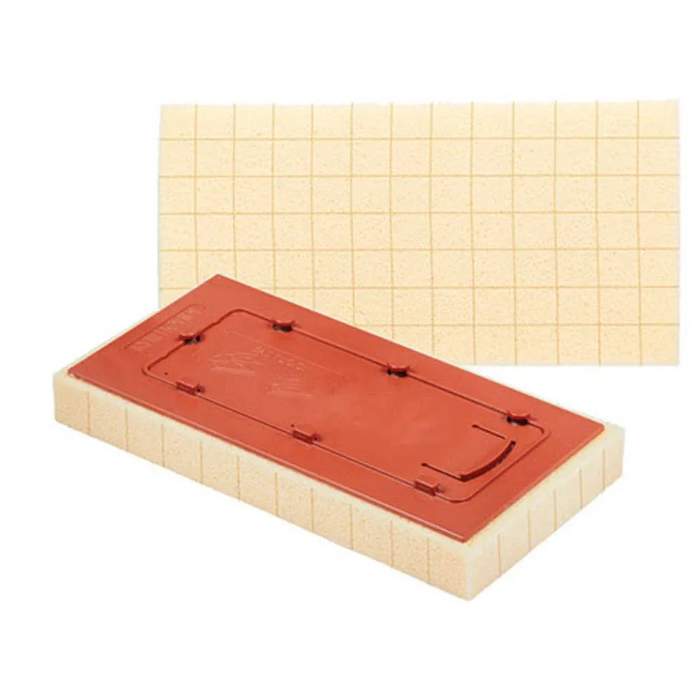 Raimondi Replacement Sponge for metal head (Wash Master)