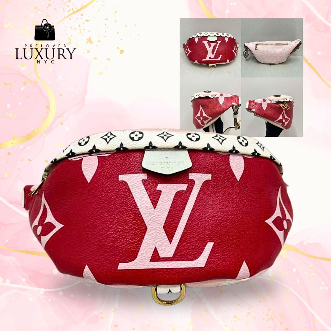 LOUIS VUITTON Geant Bum Buckle