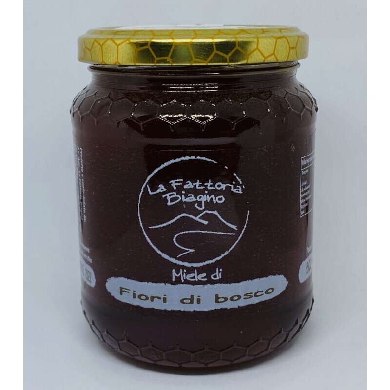 Miele puro italiano di Fiori di Bosco 500 gr