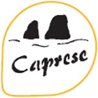 Decora Stencil Caprese