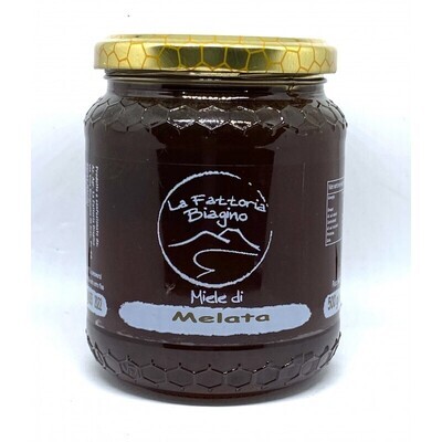 Miele puro italiano di Melata 500 gr