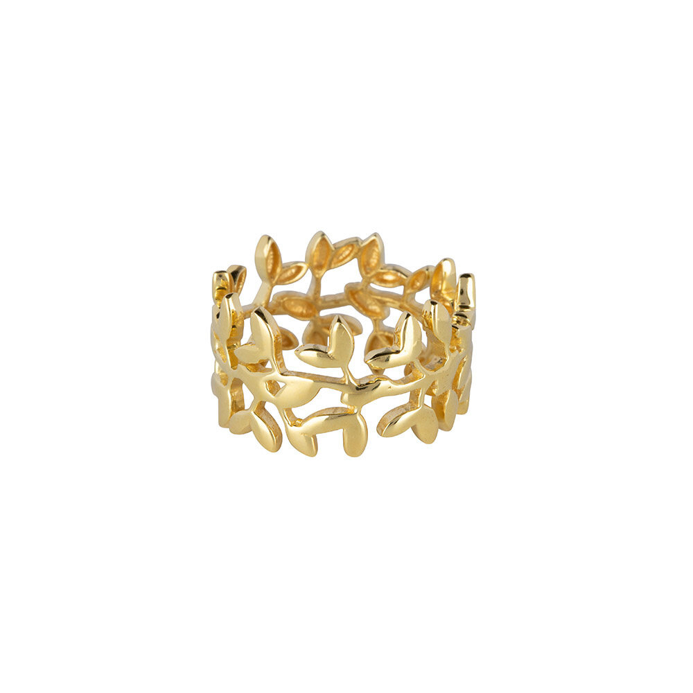 Nyssa ring breed goud