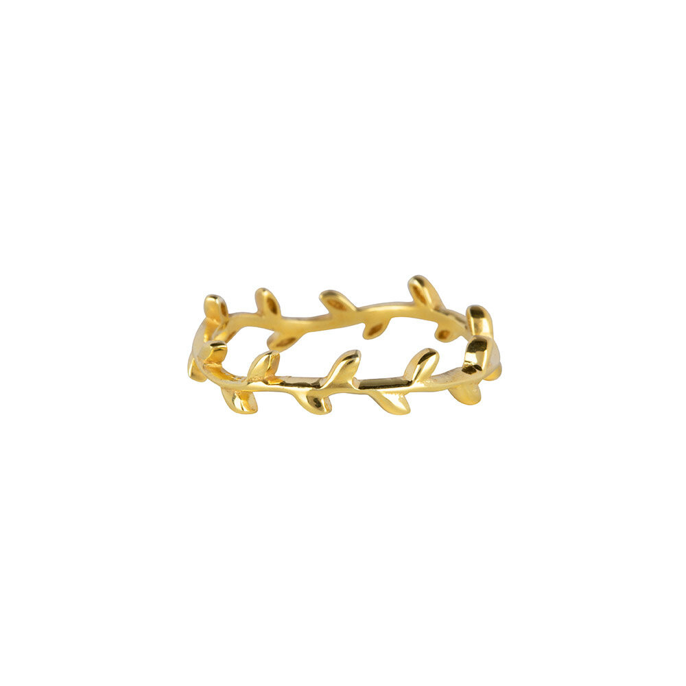Nyssa ring dun goud
