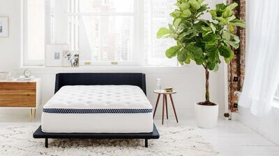 WinkBeds The WinkBed Plus Twin Mattress Hybrid Firm