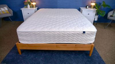 WinkBeds - The EcoCloud - King Mattress