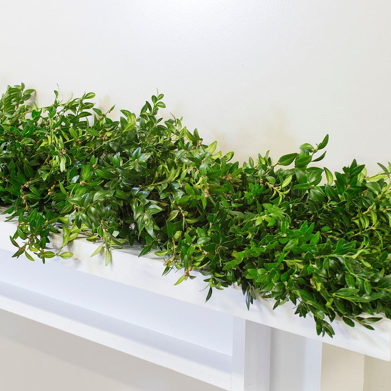 Boxwood Garland