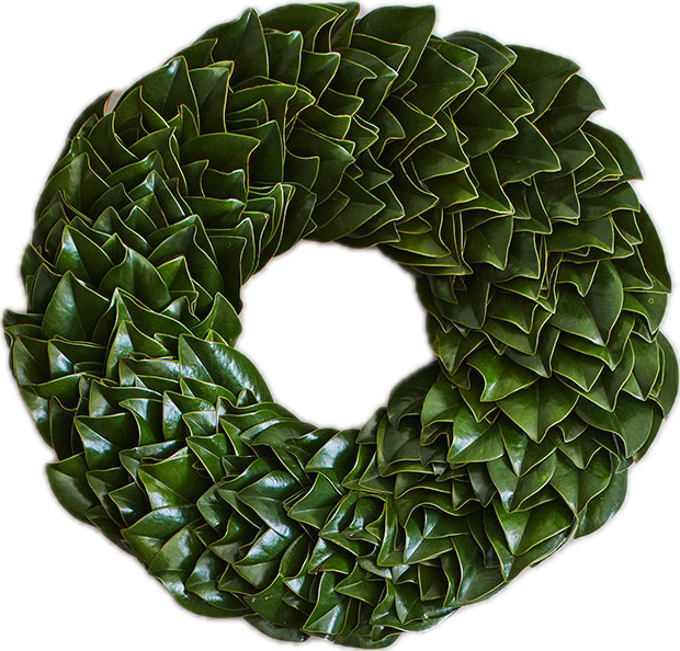 Green Magnolia Wreath