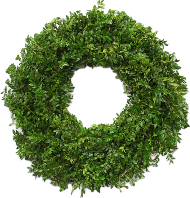 Boxwood Wreath