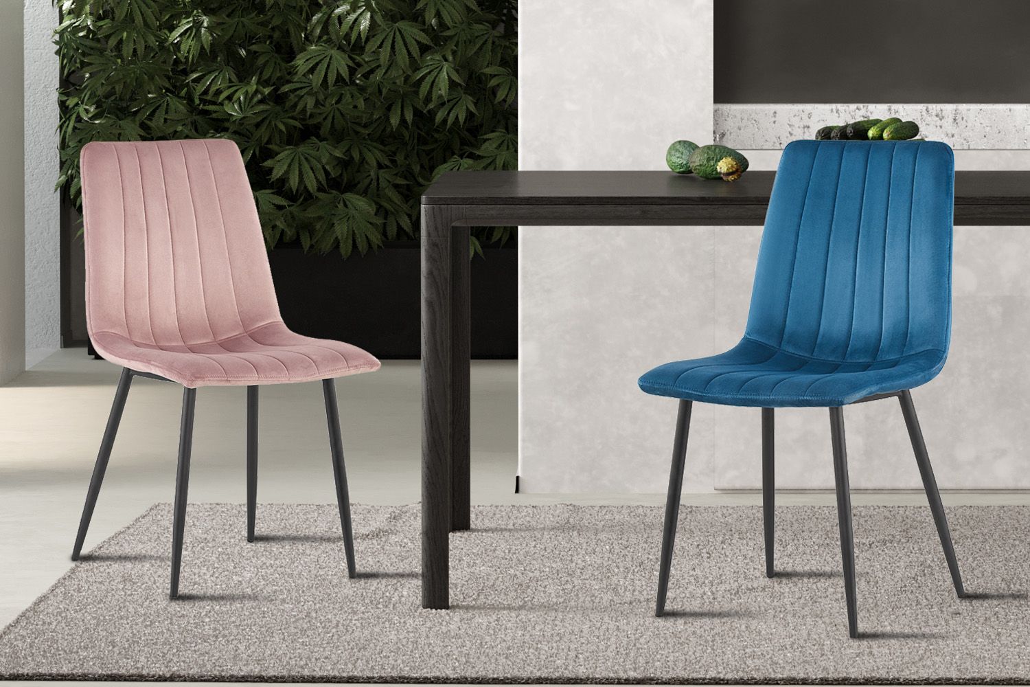 Willy (Velvet Blue &amp; Pink)
