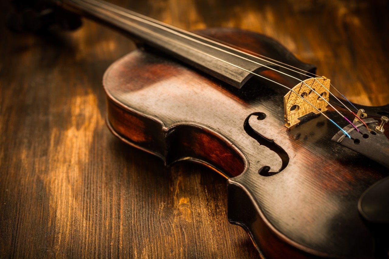 Violin