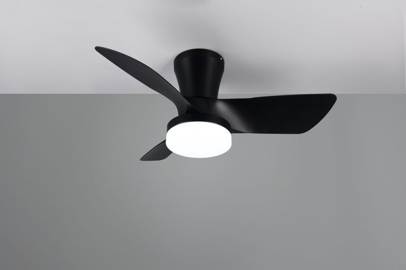 Lamp with fan: Randers (black)