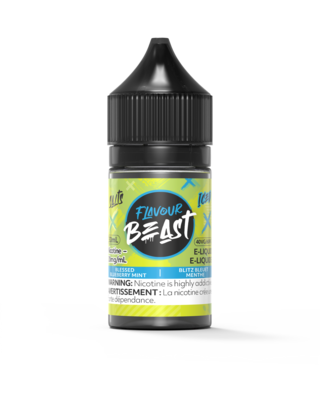 Blessed Blueberry Mint Iced by Flavour Beast Salt