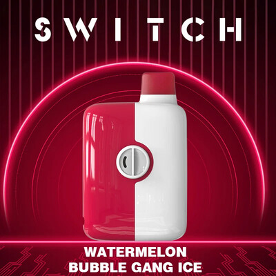 Bubble Gang Watermelon Ice - Mr. Fog Switch Disposable