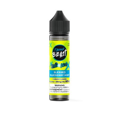 Blessed Blueberry Mint - Flavour Beast Salt