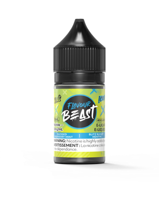 Blessed Blueberry Mint Iced by Flavour Beast Salt