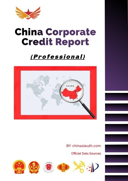 China Enterprise Credit Report (Professional)