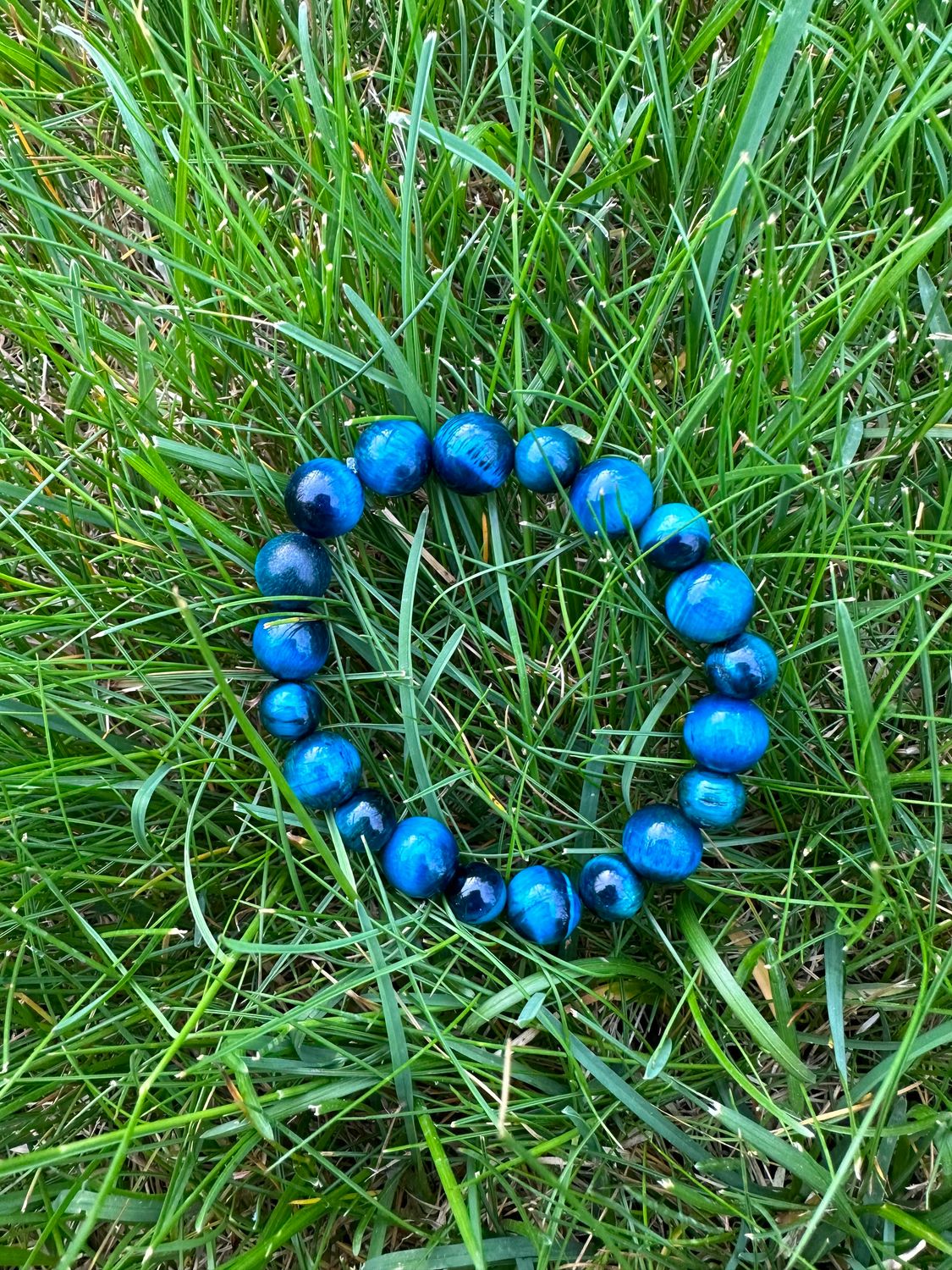 Forbidden Blueberries