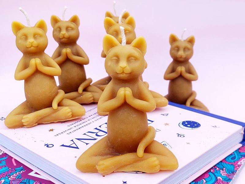 Michibuditas de miel