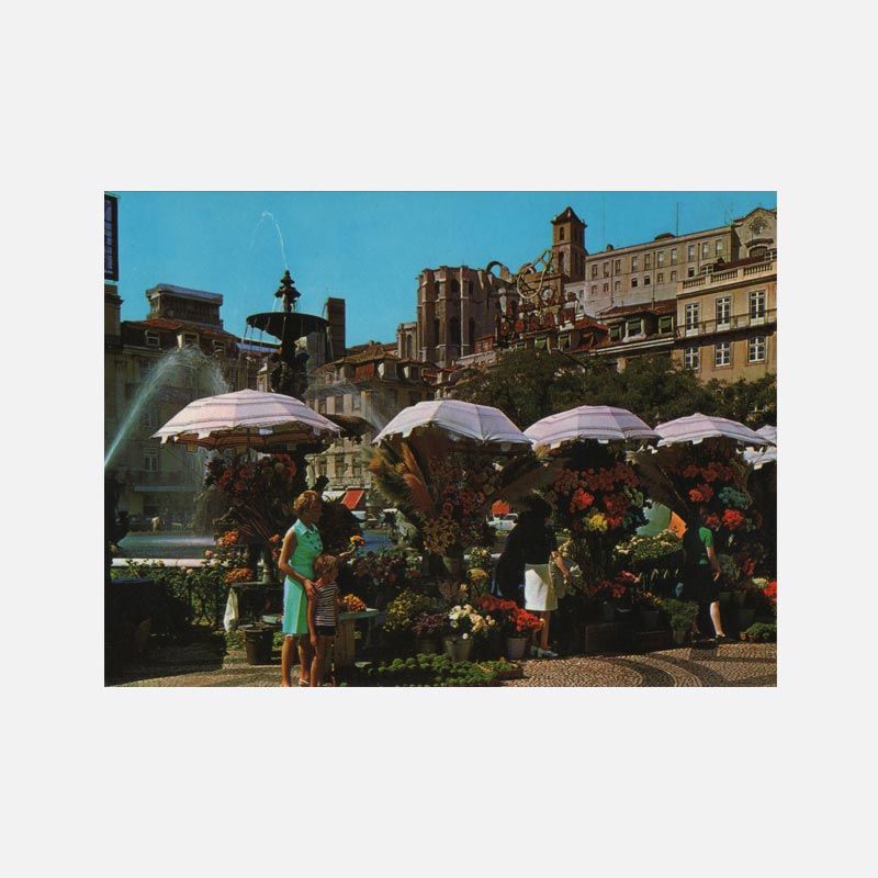 Typical Postcard from Lisbon – Florists