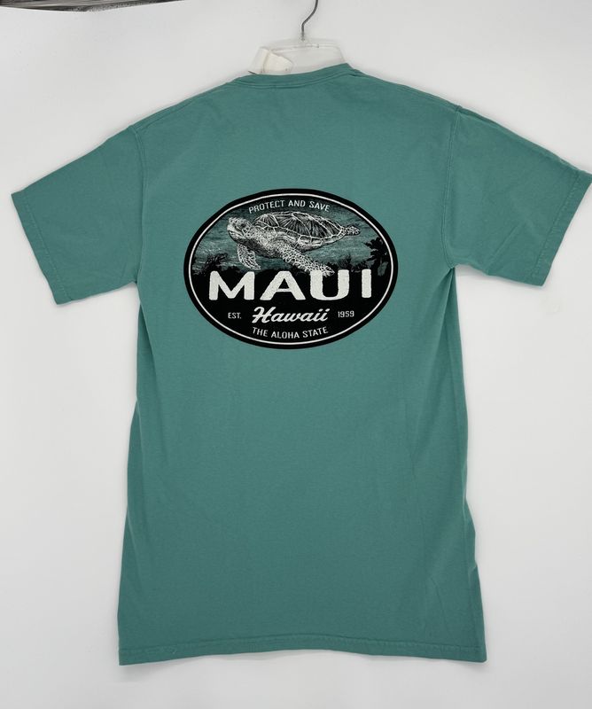 Turtle Icon TS
