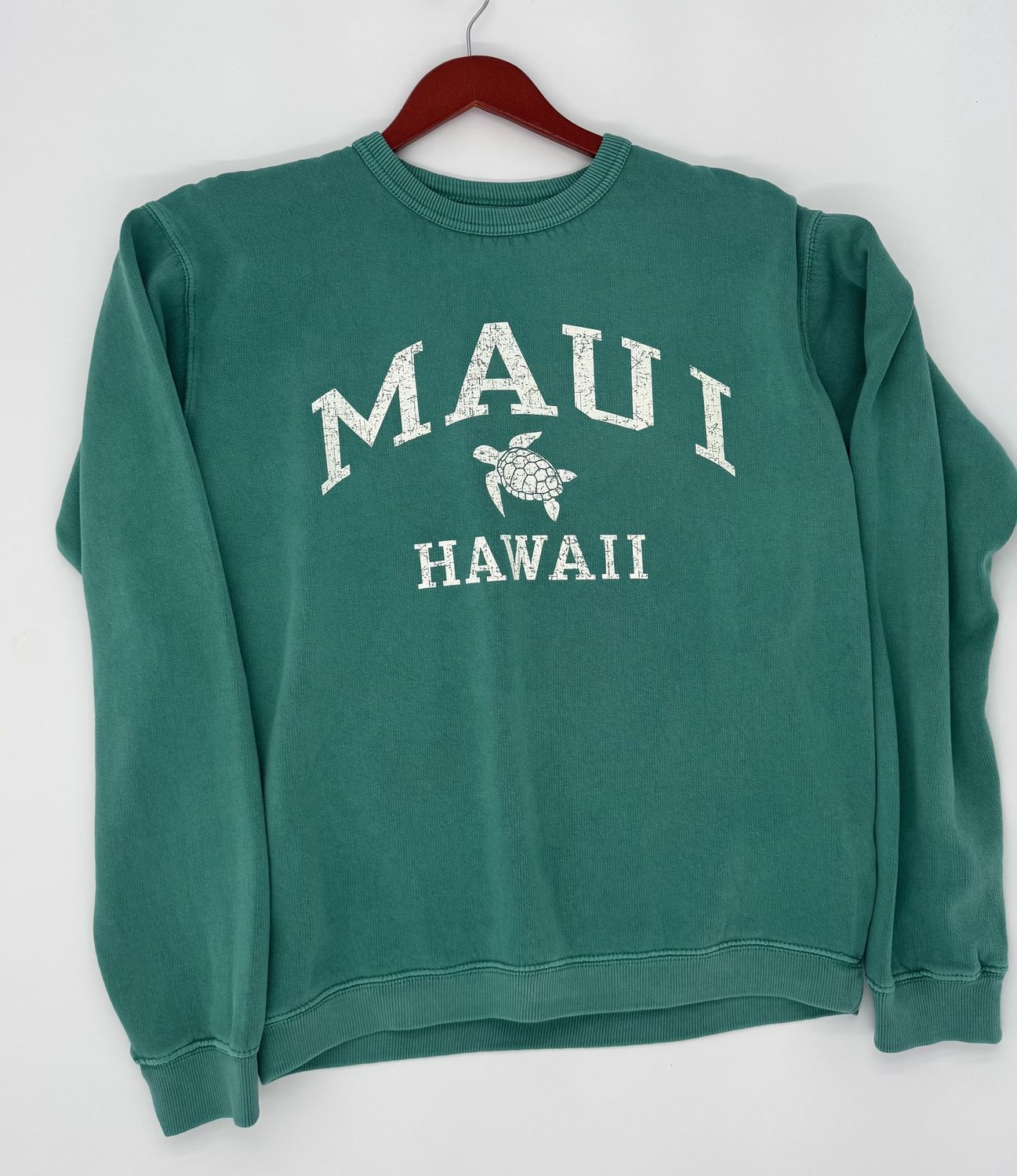 Maui Turtle SW