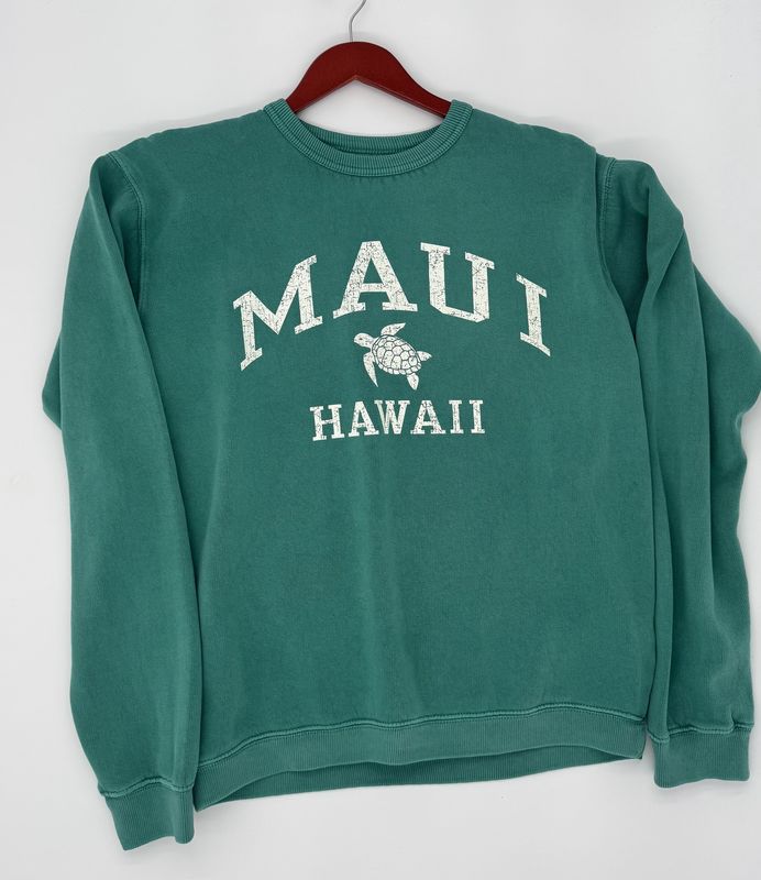 Maui Turtle SW